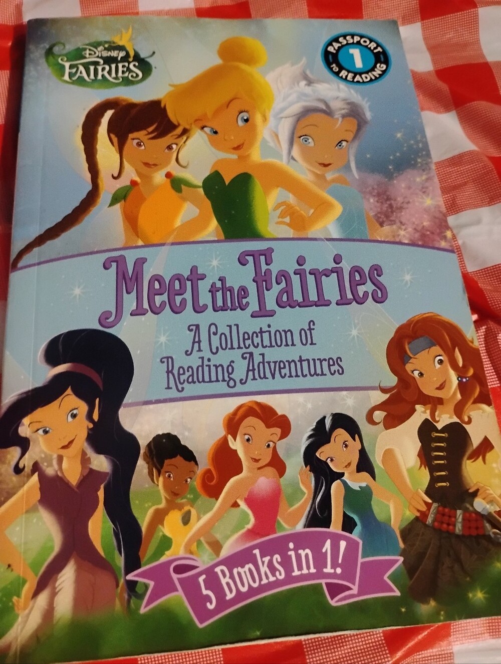 Disney Fairies "Meet the Fairies" Book - Blue & Green Cover